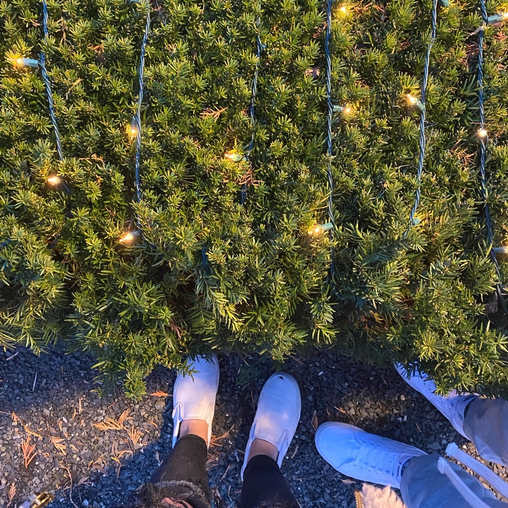 Meet your Posher, Jess